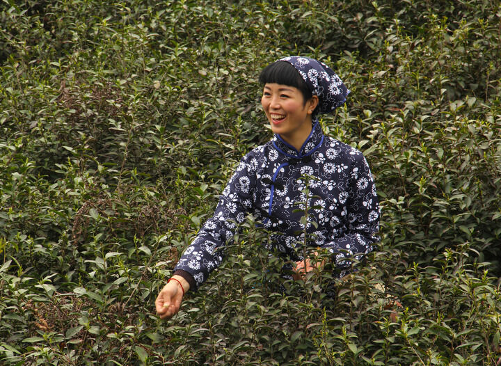 95网主播 榜首